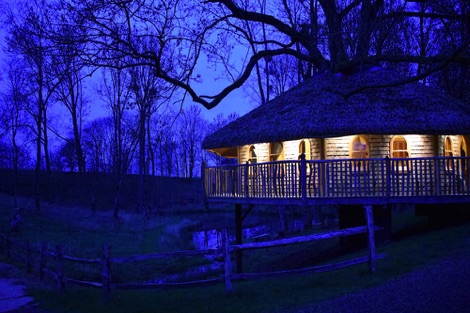 Vivianna at night, Treeopia